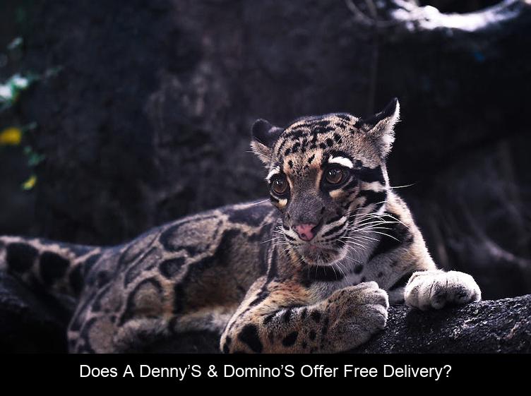 Does A Denny’s & Domino’s Offer Free Delivery?