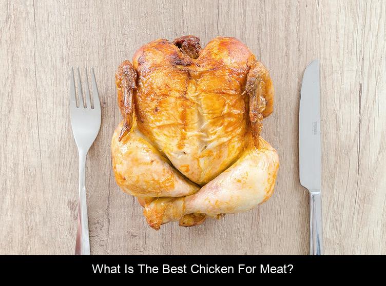 What is the best chicken for meat?
